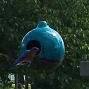 Meet your Posher, Juliana